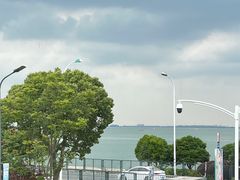 -蟹天蟹地农家菜·阳澄湖大闸蟹(浅水湾店)