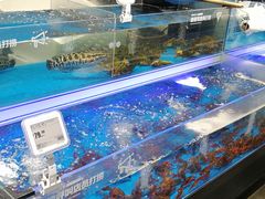 -盒马鲜生(西城时代店)