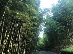 -苏州环秀晓筑养生度假村