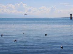 -青海湖二郎剑景区