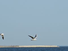 -金梦海湾浴场