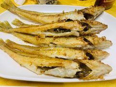 沙丁鱼-老明馨潮汕大排档