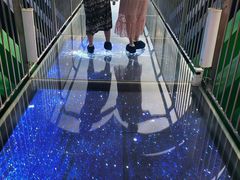 -呀诺达热带雨林