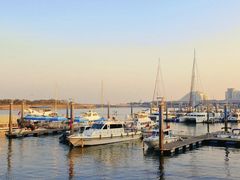 -巧克力渔家.小船海鲜胶东菜(万平口店)