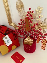 -兰心墩楠月子会所(万达店)