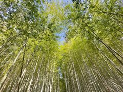 -九龙潭景区