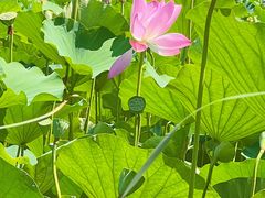 -云居湖