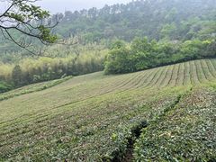 -敬亭山风景名胜区