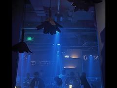 -Perry's·酒吧(黄埔大道店)