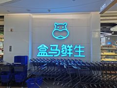-盒马鲜生(帝斯曼店)