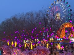-淄博花灯齐彩城