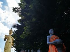 -西双版纳勐泐文化旅游区