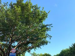 -广州市番禺中心医院(主院区)