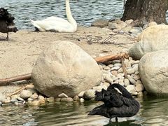 -石家庄市动物园