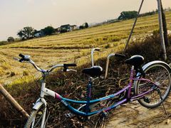 -嘉北郊野公园