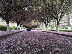 -西北农林科技大学(北校区)