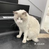 拍的照片曝光控制得非常完美