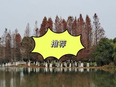 -艾溪湖湿地公园