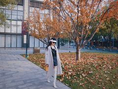 -The Rug Cafe(王府中环店)