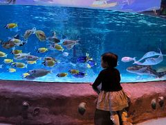 -沈阳海洋探索中心