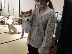 -逗柴咖啡屋·狗咖猫咖宠物桌游
