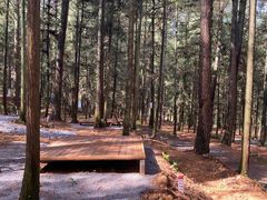 -重庆睡佛山森林公园