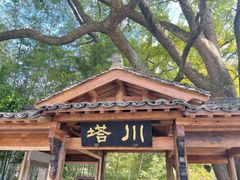 -塔川景区