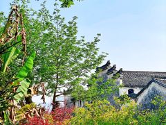 -东梓关景区村庄