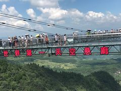 -梦幻奥陶纪景区