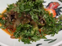 -蝶园·装修中(BFC外滩金融中心店)