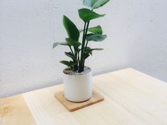 -禾康家蛋糕店