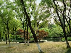 -柳浪闻莺公园