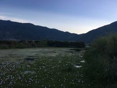 -大理洱源西湖景区