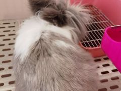 -平行世界·猫咖(首经贸店)