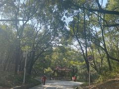 -石峰公园