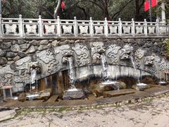 -蝴蝶泉公园