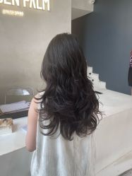 点击看大图 -金棕榈