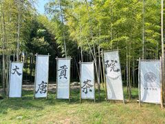 -大唐贡茶院