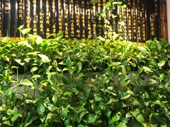 -孙三拨按摩拨筋(五一路店)