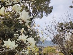 -宁波九龙湖开元度假村