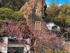 -无锡梅园公园