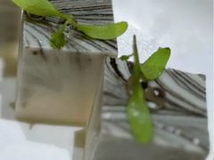 -恒悦轩·粤菜(上海展览中心店)