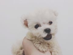 -联合动物医院(光谷诊疗中心)