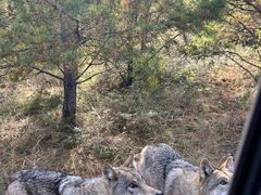 -鄂尔多斯野生动物园