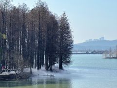 -东湖落雁景区