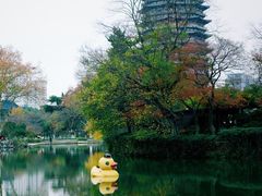 -红梅公园
