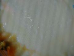 -无影脚佛山陈氏盲公丸始创店(飞鸿街店)