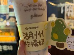-猫的魔法密林(衣裳街店)