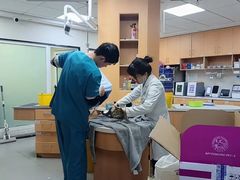 -联合动物医院(光谷诊疗中心)