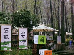 -林间山庄